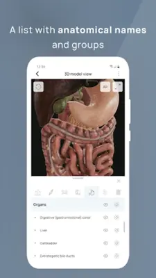 VOKA Pathology 3D android App screenshot 11