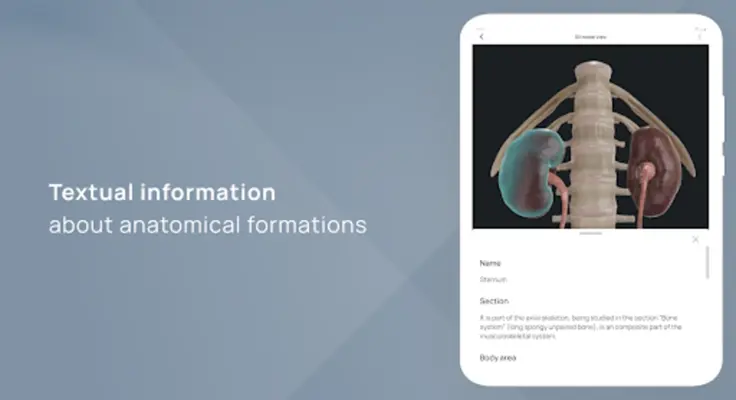 VOKA Pathology 3D android App screenshot 4